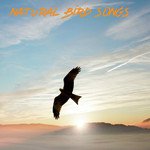 Natural Bird Songs