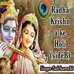 Radha krishna ki holi side B
