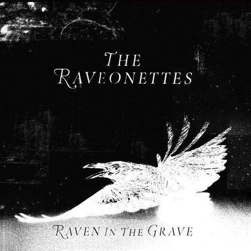 Raven in the Grave_poster_image