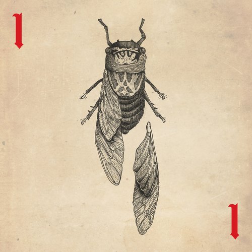 Roberto cover art