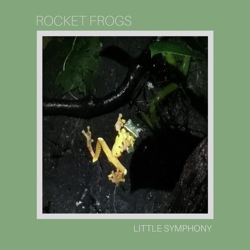 Rocket Frogs