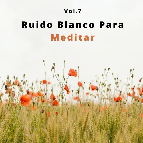 Ruido Blanco Para Una Meditación Profunda cover art