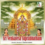 Om Namo Venkatesaya - JioSaavn