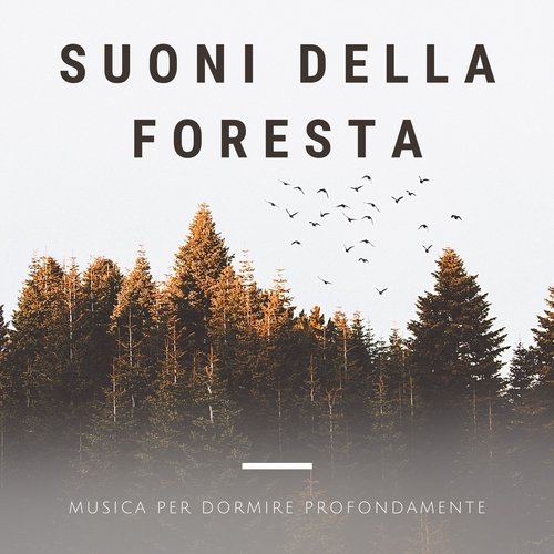 Musica per dormire profondamente cover art