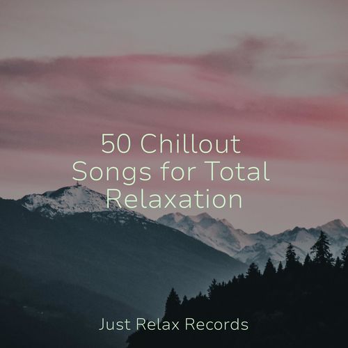 50 Chillout Songs for Total Relaxation