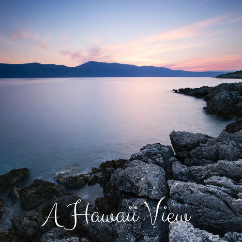 A Hawaii View