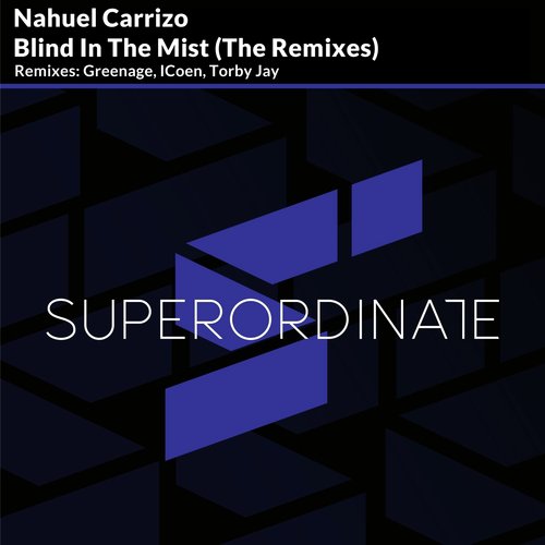 Blind in the Mist (Torby Jay Rmx)