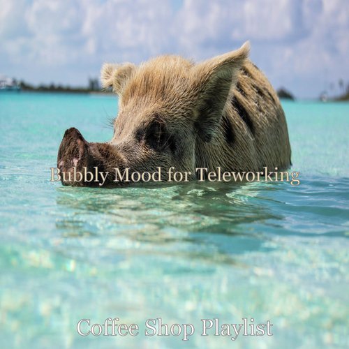 Bubbly Mood for Teleworking