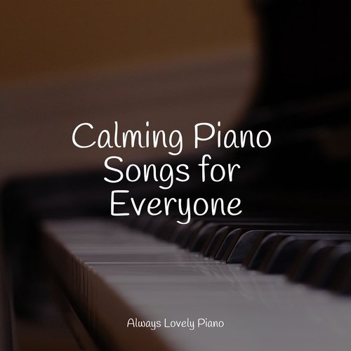 Calming Piano Songs for Everyone_poster_image