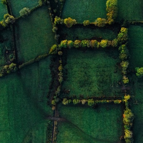 Gaia cover art