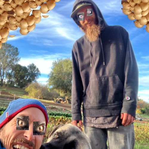 Digging Taters In The Sun cover art