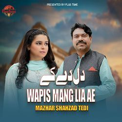 Dil Dy Ke Wapis Mang Lia Ae