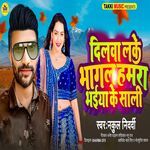 Dilwa Leke Bhagal Hamra Bhaiya Ke Sali