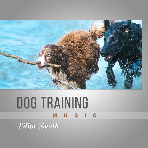 Dog Training Music_poster_image