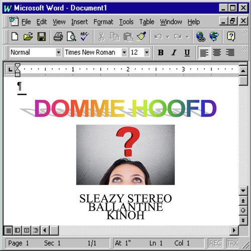 Domme Hoofd_poster_image