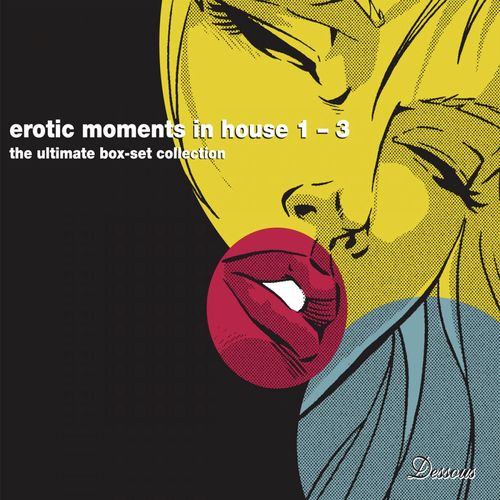 Erotic Moments In House Vol. 1-3 (The Ultimate Digital Box Set Collection)