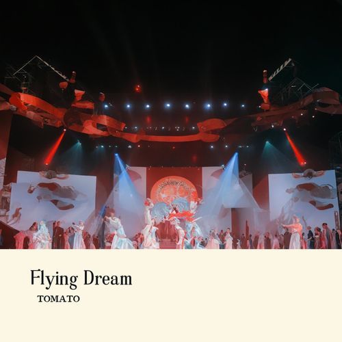 Flying Dream