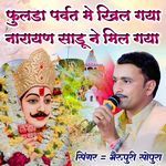 Fulda Parvat Me Khil Gaya