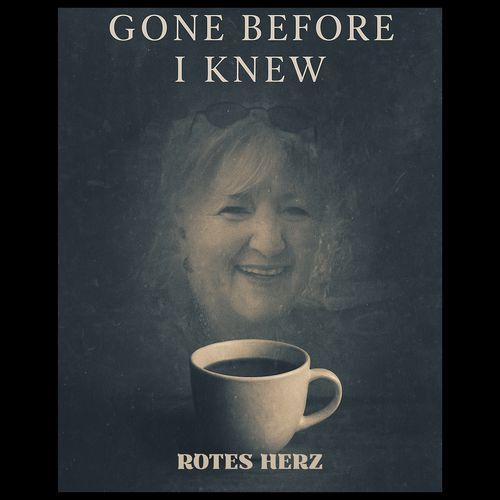 Gone Before I Knew cover art