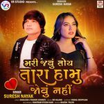 Mari Javu Toy Tara Hamu Jovu Nahi