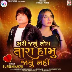 Mari Javu Toy Tara Hamu Jovu Nahi