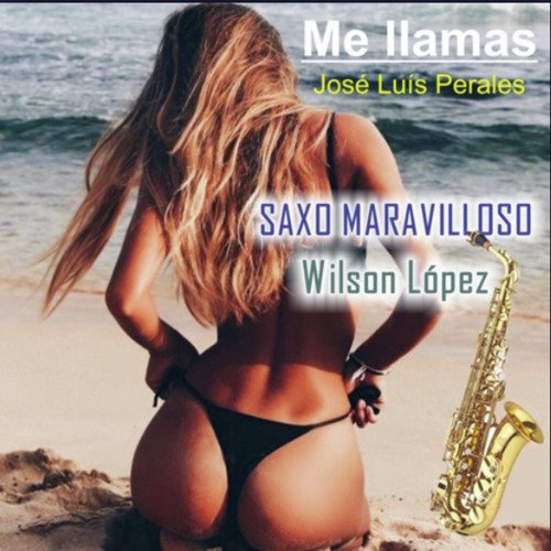 Me Llamas De Jose Luis Perales cover art