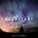 Moonlight (feat. Storyboards) [with Ulchero] [Seffy Remix]