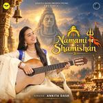 Namami Shamishan