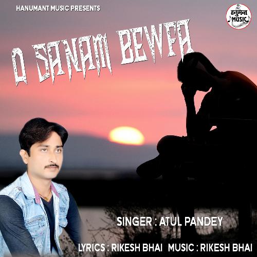 O Sanam Bewafa (Hindi Song)