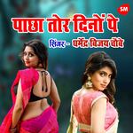 Pacha Tor Dino Pe Din Feke