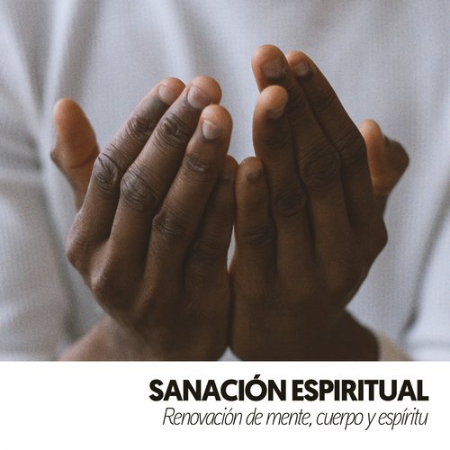 El poder del bosque Meditación cover art