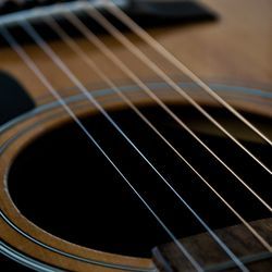 Gentle Comfort Guitar Cats