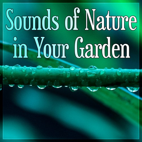 Sounds of Nature in Your Garden – Beautiful Natural Spa Music Collection with Nature Sounds & Healing, Meditation & Relaxation, Sound Therapy