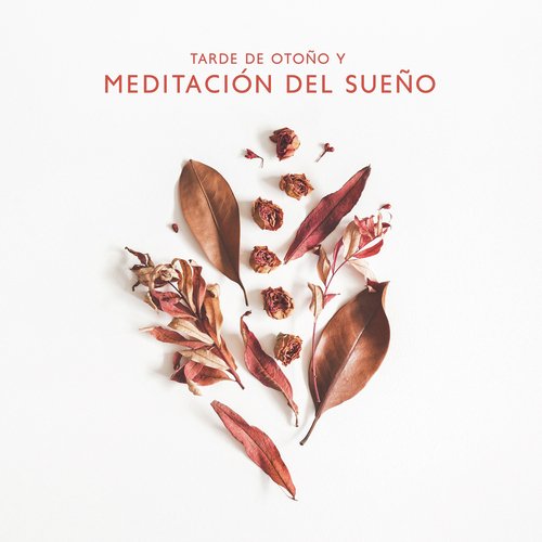 Meditación de luna Llena cover art