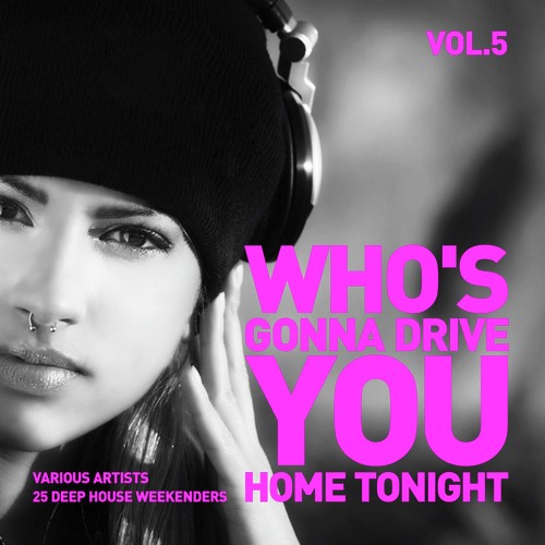 Who's Gonna Drive You Home Tonight (25 Deep-House Weekenders) Vol. 5
