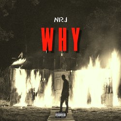 Why-IRsyZBgCUgA