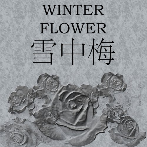 Winter Flower_poster_image