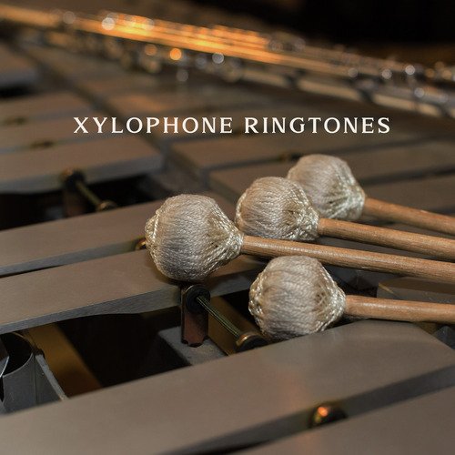 Xylophone Sound Effects cover art