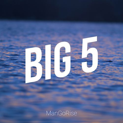 Big 5 cover art