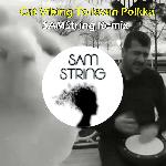 Cat Vibing To Ievan Polkka (Remix)