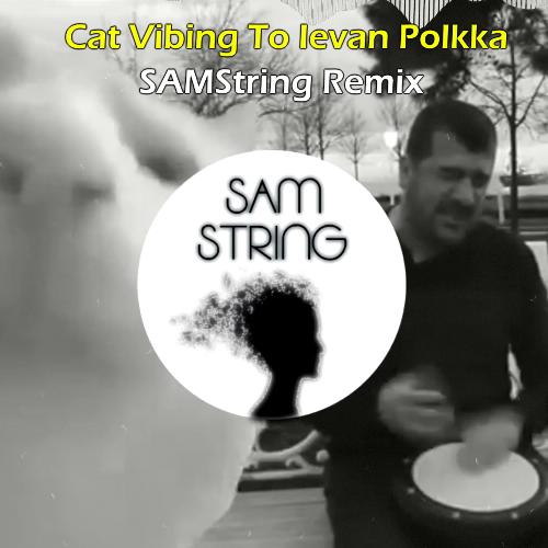 Cat Vibing To Ievan Polkka (Remix)_poster_image