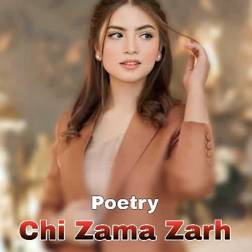 Chi Zama Zarh_poster_image