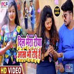 Dil Mera Roya Ankh Bhi Royi Hai