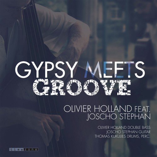 Gypsy Meets Groove_poster_image