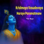 Krishnaya Vasudevaya Haraye Paramatmane