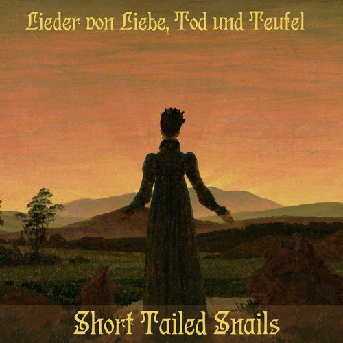 Fiev Söhns cover art