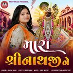 Mara Shreenathji Ne