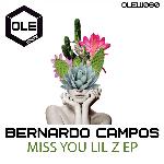 Miss You Lil Z (Original Mix)