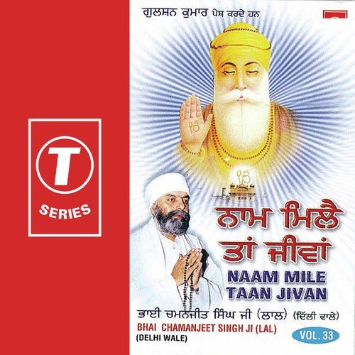 Naam Mile Taan Jivan (Vol. 33)