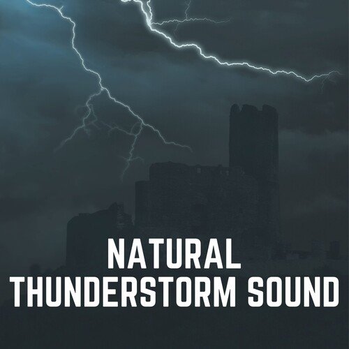 The Storms Come and Go